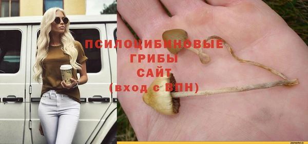 прущая мука Михайлов