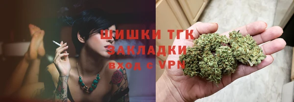 крисы Надым