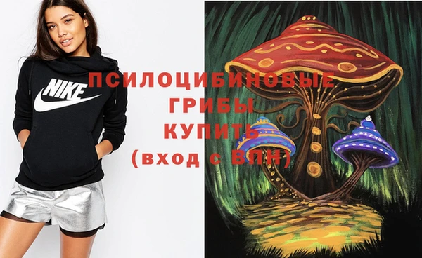 крисы Надым