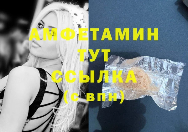 крисы Надым