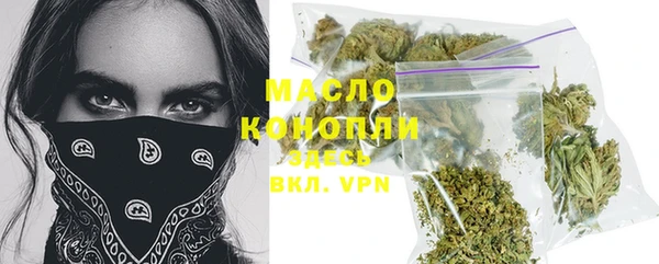 крисы Надым